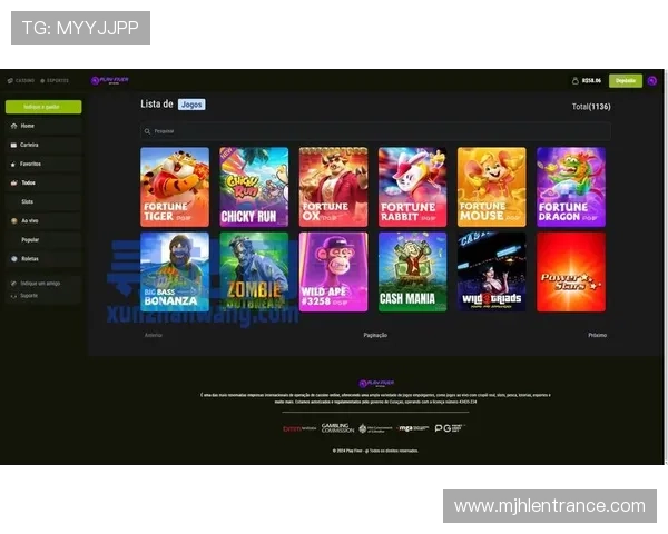 PG娱乐电子游戏网站C7：丰富游戏类型满足不同玩家的娱乐需求分析