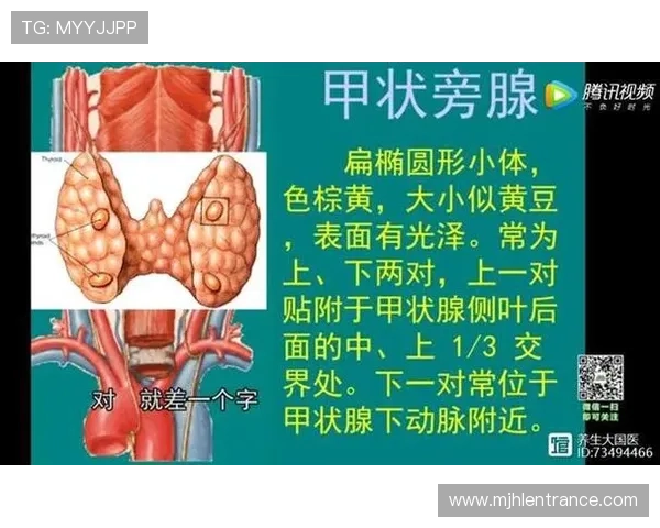 PG官网化验所报告查询流程详解帮助玩家快速获取最新检测报告信息